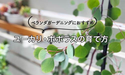怎样运动消除脂肪肝最有效-怎么运动减肥脂肪肝网 - 网站提供脂肪肝怎么运动能减掉小常识、减脂肪肝最好的运动方式