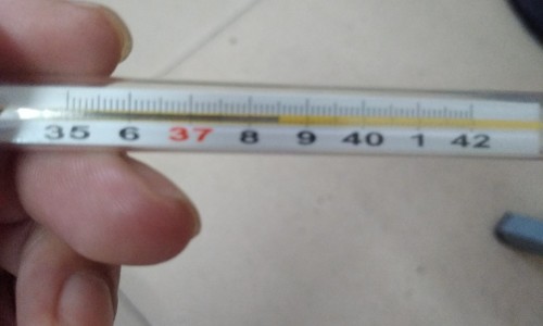 怎么运动减肥脂肪肝最有效-怎么运动减肥脂肪肝网 - 网站提供脂肪肝怎么运动能减掉小常识、减脂肪肝最好的运动方式